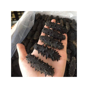 Chất lượng tốt giá rẻ giá khô dưa chuột biển cho xuất khẩu - Product Image 1