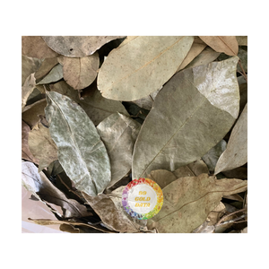 AL POR MAYOR MEJOR PRECIO DESDE 99 DATOS DE ORO CON HOJAS SECAS DE GRAVIOLA SOURSOP DE ALTA CALIDAD PARA TÉ NATURAL - Product Image 6