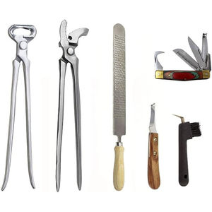 Herramienta profesional para herrar caballos, 6 piezas, Kit de herramientas de aseo para pezuñas, personalización aceptada, instrumentos veterinarios - Product Image 4