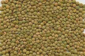 Lentilles vertes séchées biologiques en vrac, paquet de 0,3 kg, en vente - Product Image 5