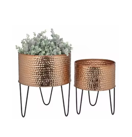 ตามที่แสดง