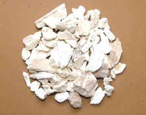 Cendres d'os fossile de Mamal, os de Dragone du Maroc - Additifs chimiques de qualité industrielle - Product Image 4