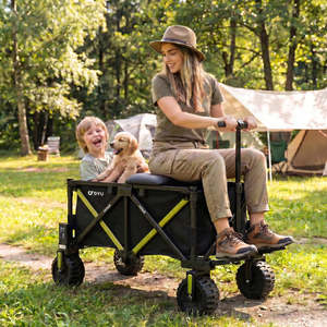 DYU CampX Electric Wagon Four-Wheel <b>Foldable</b> Aluminum Camping <b>Cart</b> with Enclosed Structure Seat Large Capacity Storage - Product Image 5