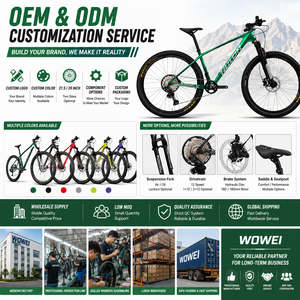 Bicicleta de Montaña de 27.5/29 Pulgadas, 12 <span class=keywords><strong>Velocidades</strong></span>, Frenos de Disco Hidráulicos, Neumáticos Maxxis 29x2.1, Manillar Integrado de Carbono, OEM - Product Image 6