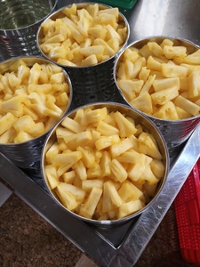 Exportación de fábrica de piña enlatada desde Vietnam que satisface la demanda de importación a granel - Product Image 3