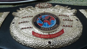 Cinturones de campeonato de boxeo Trofeos Medallas y premios el símbolo definitivo de la victoria y la excelencia Cinturones de Campeonato - Product Image 5