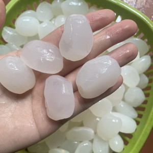 เมล็ดปาล์มแห้งเมล็ดถั่วสำหรับทำเครื่องดื่มและน้ำผลไม้ - Product Image 2