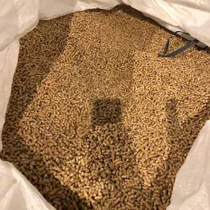 Granulés de bois 100% naturels, biocarburant, sciure de bois de pin, combustible de cuisson, provenant de BE Ash, 1% d'humidité, 8% de densité, 1 - Product Image 5