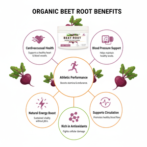 ผงบีทรูทออร์แกนิกขายดีแบบ OEM/ODM ช่วยเพิ่มพลังงานและเสริมสร้างระบบภูมิคุ้มกัน - Product Image 6