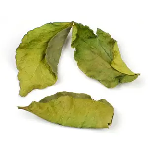 DRIED LEMON LEAF/ DRIED LIME LEAF Dried Kaffir Lime Leaves Vietnam Wholesale Supplier Ms. Elysia (Whatsapp +84789310321)