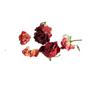 กุหลาบแดงแห้งบริสุทธิ์ | ผสมผสานเพื่อสุขภาพ | บรรจุภัณฑ์จำนวนมาก - Product Image 4