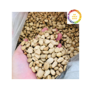 เมล็ดมะขามเปียกสำหรับการส่งออกจำนวนมาก - Product Image 2