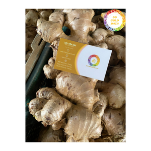 Especias de raíz natural auténtica Premium de Vietnam de jengibre fresco para condimentos de cocina y distribución de exportación mundial - Product Image 4