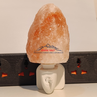 Lampe de sel rose de l'Himalaya sculptée à la main, rotative à 360°, avec prise, qualité supérieure, certifiée ISO, style Feng Shui, pour mur ou table