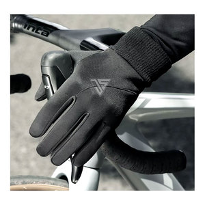 Gant d'hiver pour écran tactile personnalisé pour l'extérieur Matériau du gant en polyester tissu coupe-vent, impression en silicone antidérapante, polaire intérieure - Product Image 1