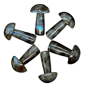 Labradorite Champignon Cristal Naturel Sculpture Pierre de Guérison Mini Figurine de Pierre Gemme pour Reiki Energie Décoration Maison et Cadeaux - Product Image 3