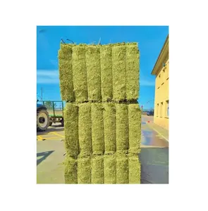 Hot Sale Animal Feed Timothy Grass Hay Bales For Sale/Buy 150 kg Bales Timothy Hay For Rabbit, Horse Feed