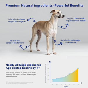 La salute della vescica per i cani contiene ingredienti attivi per aiutare a sostenere la salute del tratto urinario del cane, supporto della vescica del cane - Product Image 2