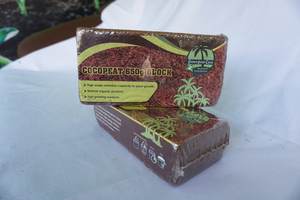 Origine sri lankaise 100% Briquettes de coco biodégradables naturelles pour serres, jardins et fermes hydroponiques - Product Image 6