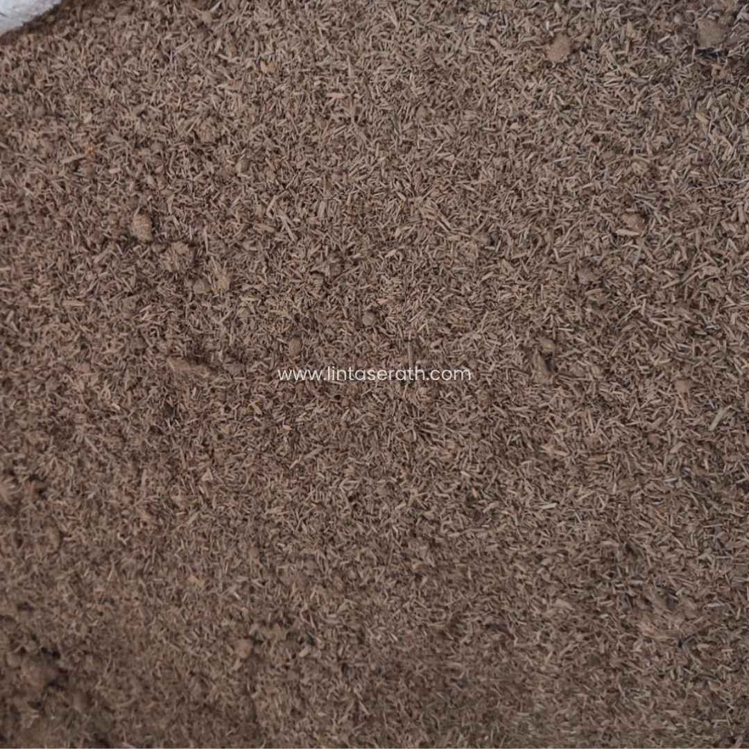 ธรรมชาติ