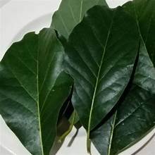 HOJAS DE AGUACATE SECAS VEGANAS PARA INFUSIÓN DE HIERBAS DE TÉ SALUDABLE Y SISTEMA INMUNE - Product Image 6