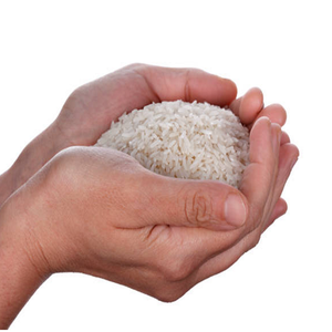 Arroz Basmati Sella Blanco de Alta Calidad a Granel, Arroz Aromático de Grano Largo, Perfecto para Exportación, Oferta de Precio al por Mayor - Product Image 5