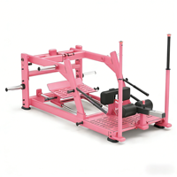 Plateforme multifonctionnelle pour exercices de fessiers et du bas du corps : Lunges inversées, Lunges latérales, Sissy Squats