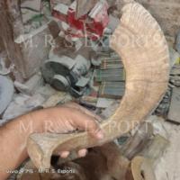 Corne de Shofar de mouton de haute qualité très demandée, polie, écologique, fabriquée en Inde, prix abordables, objet de collection artistique