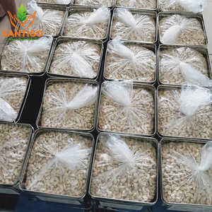 กล่องดีบุกเม็ดมะม่วงหิมพานต์นัม20กก. W320เม็ดมะม่วงหิมพานต์จากเวียดนาม - Product Image 3