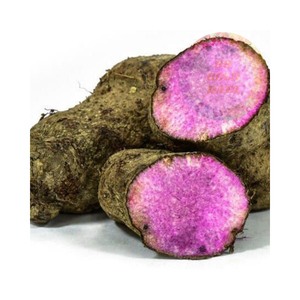 Yam dulce púrpura vietnamita de alta calidad, fresco y puro, precios competitivos para pedidos a granel, entrega internacional rápida - Product Image 5