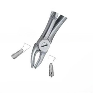 Forceps d'extraction dentaire Fig.39 R, manuel, acier inoxydable de haute qualité, certifié CE, logo personnalisé, instruments dentaires - Product Image 5