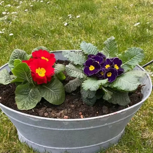 Plateau à fleurs vintage en zinc galvanisé Plateau traditionnel en métal pour jardin et décoration intérieure avec style Ins - Product Image 1