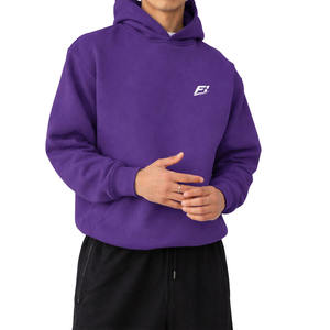 Sudadera con Capucha de Gran Tamaño, Bordado de Toalla, Gruesa, Unisex, Informal, de Invierno, para Calle, OEM, con Letras, Ropa Deportiva B2B - Product Image 2