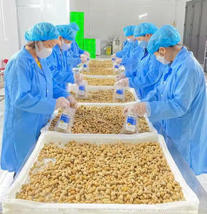 Snack vegano a base de plantas de origen vietnamita, cacahuetes congelados al vapor sin OGM, precio a granel-Caryln 0084935825297WA - Product Image 2