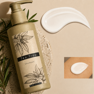 Champú de Árbol de Té, Jengibre y Menta, Champú Refrescante para el Cuidado del Cabello, Champú para Cabello Limpio, Marca Privada OEM a Granel - Product Image 3