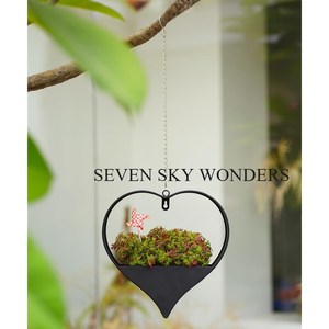 Mayorista Balcón Decoración Colgante Flor Maceta Barandilla Maceta Soporte Mate Negro Acabado Metal Hierro Pared Maceta Forma de corazón - Product Image 6