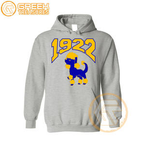 Sudadera con capucha de lana de algodón Sigma Gamma Rho personalizada de alta calidad, sudadera de hermandad bordada para mujer, ropa griega - Product Image 2