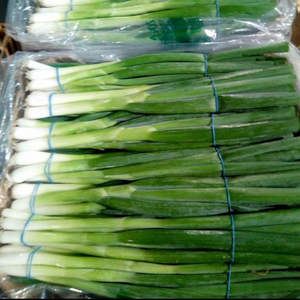 VIETNAM FRESH SCALLION con sabor natural y larga vida útil // Listo para usar para cocinar y condimentar - Product Image 3