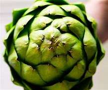 FLORES DE ALCACHOFA SECAS PREMIUM | HIERBAS DE BIENESTAR ORGÁNICO | INGREDIENTE DE TÉ Y COSMÉTICO - Product Image 2