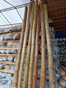 Tubes de bambou, produit préféré du marché, servant les fabricants de meubles, les décorateurs et les professionnels du bâtiment dans le monde entier - Product Image 2