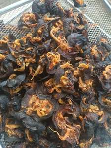 Escargots géants d'Afrique séchés 100% naturels de qualité supérieure, séchés au four, emballage en vrac, goût épicé, prêts à consommer, sains - Product Image 4