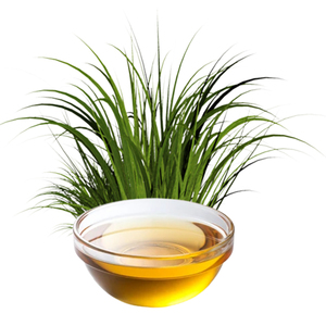 Fabricants et exportateurs en gros d'huiles essentielles de qualité cosmétique pure (Citronnelle, Tea Tree) - Distillées à la vapeur, certifiées GMP, pour les soins capillaires - Product Image 1