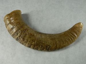 Cuerno vikingo genuino para beber, decoración de fiesta Natural terminada para cerveza Ale Mead, cuerno vikingo para ocasión navideña - Product Image 2