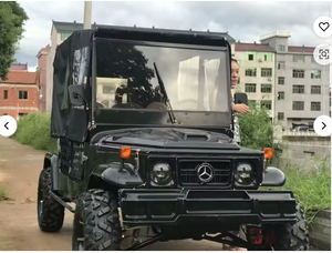 Vente d'usine - Willys 2 places - Mini Jeep Buggy - Classique - Touristique - Personnalisé - Product Image 2