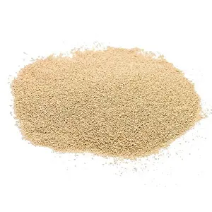 Suppliers Of High Quality Instant Dry Yeast for Baking