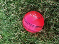 Pelotas de Cricket Personalizables de Cuero Genuino Rosa |   Estilo Kookaburra Australiano Cosido a Máquina y Duradero | Personalizado