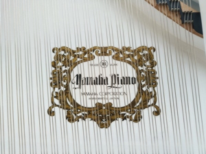 Piano de cola Yamaha G3E de lujo para espectáculos de bodas, decoración de vestíbulos de hoteles y salas de conciertos, modificación transparente G3 - Product Image 4