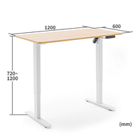Bureau assis-debout ergonomique OEM, table d'ordinateur électrique réglable en hauteur avec plateau en bois clair et contrôle de mémoire