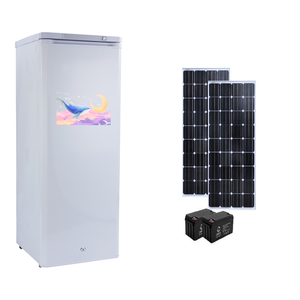 Solare 200L di alta qualità con congelatore verticale <span class=keywords><strong>a</strong></span> buon prezzo con <span class=keywords><strong>6</strong></span> <span class=keywords><strong>cassetti</strong></span> BD-200 - Product Image 1