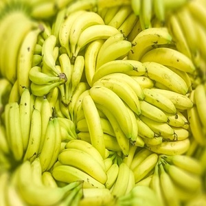 Bananes à vendre à bas prix Achetez des bananes fraîches en gros Commandez maintenant pour une qualité supérieure et des prix abordables Expédition rapide - Product Image 3